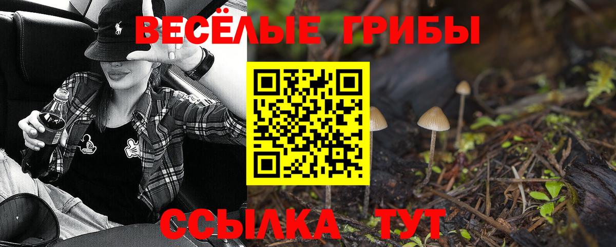 Псилоцибиновые грибы ЛСД Карпинск
