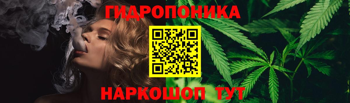 Карпинск  Каннабис планчик  Вход с VPN  Канабис планчик 